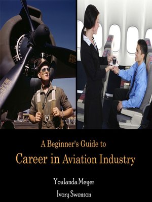 cover image of A Beginner's Guide to Career in Aviation Industry